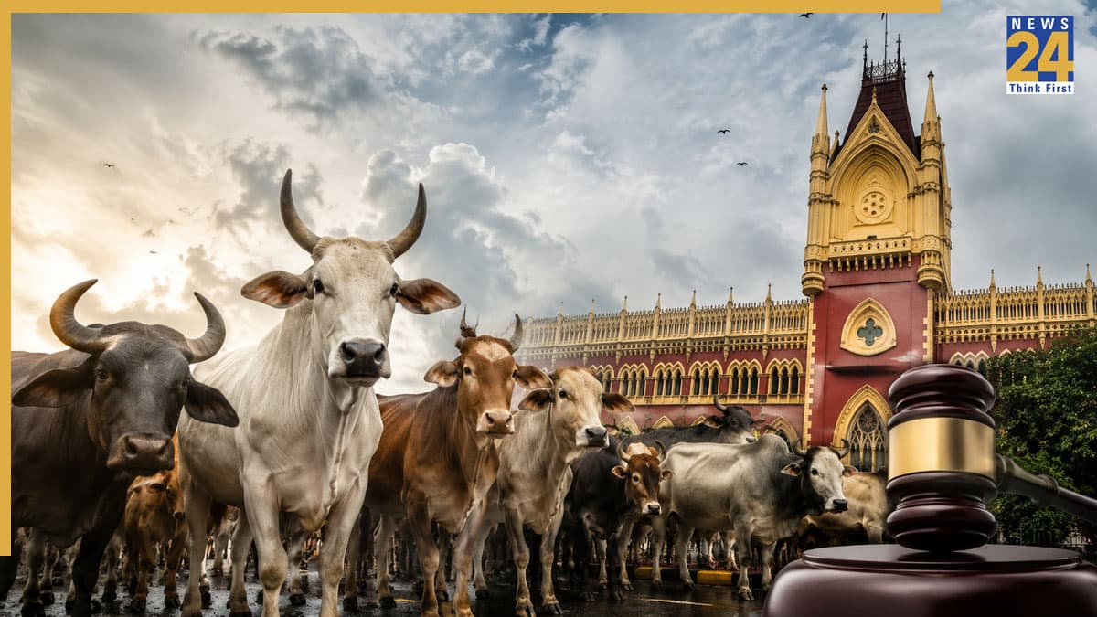 बकरीद से पहले पशु वध पर हाई कोर्ट का बड़ा फैसला, गाय-भैंस को मारना ईद का हिस्सा नहीं