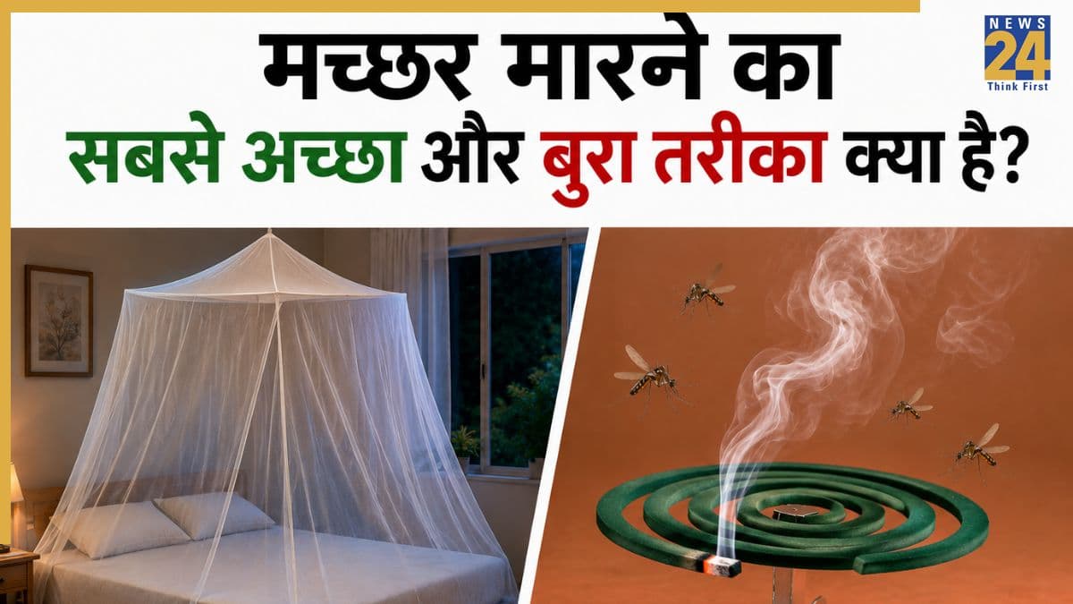 मच्छर मारने की सबसे खराब और सबसे अच्छी तकनीक कौन सी है? डॉक्टर ने दी रेटिंग