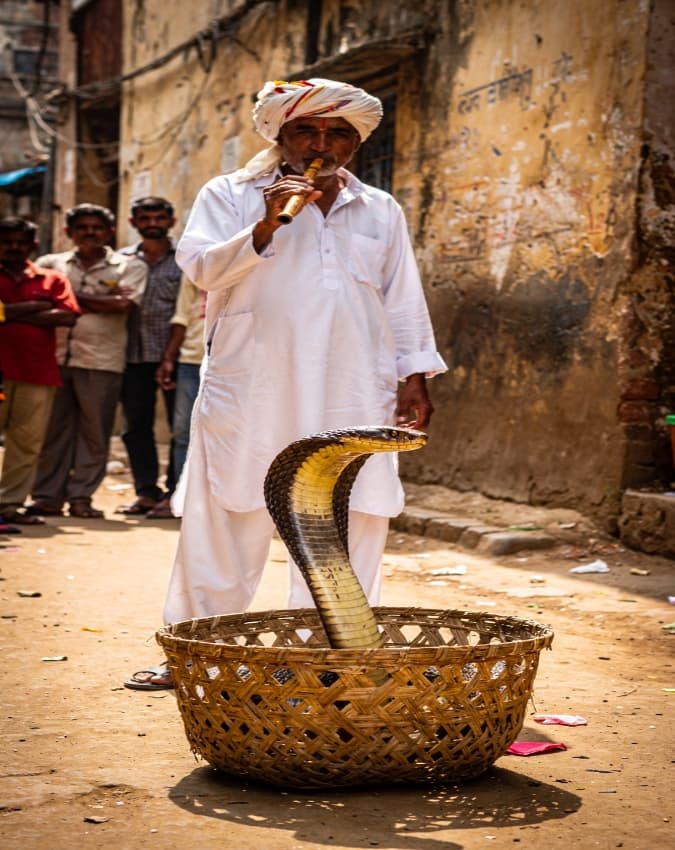 वो डांस नहीं बल्कि आत्मरक्षा होती है
