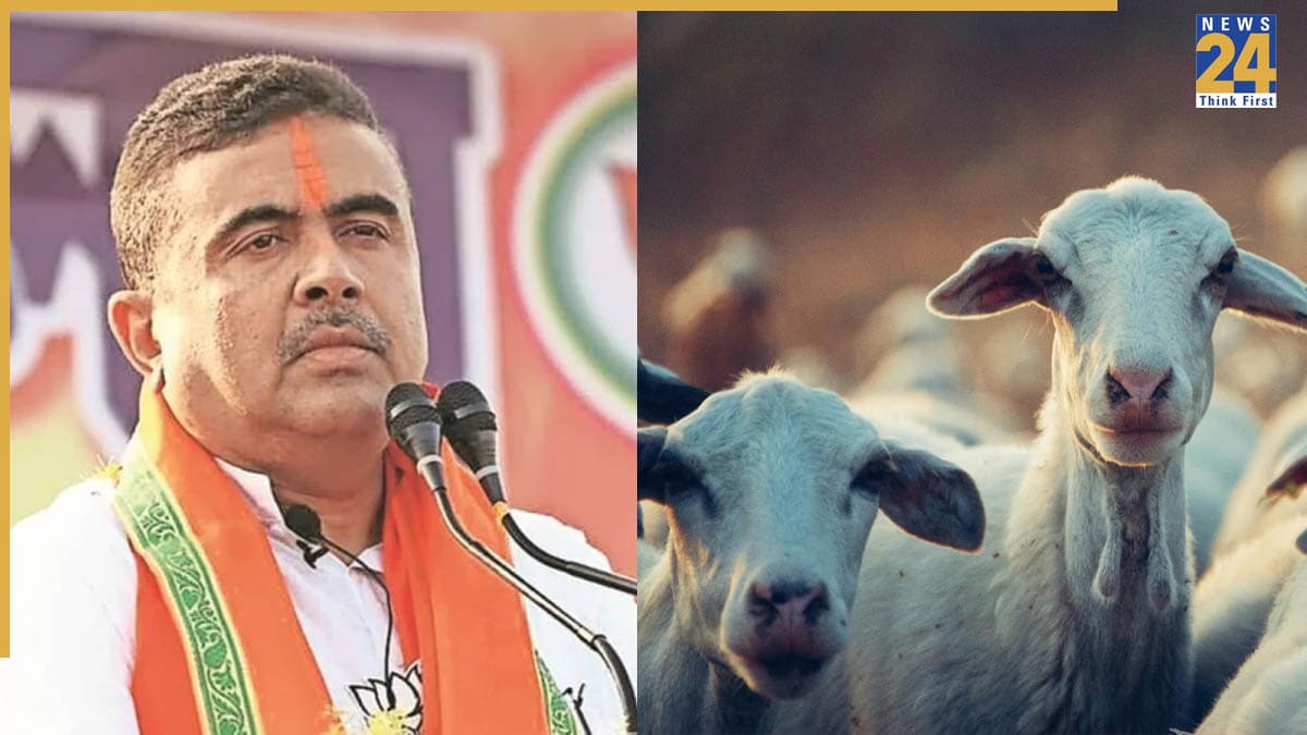 बकरे की खुलेआम कुर्बानी पर बैन! बकरीद से पहले सुवेंदु सरकार का बड़ा फैसला, बंगाल में कड़े नियम जारी