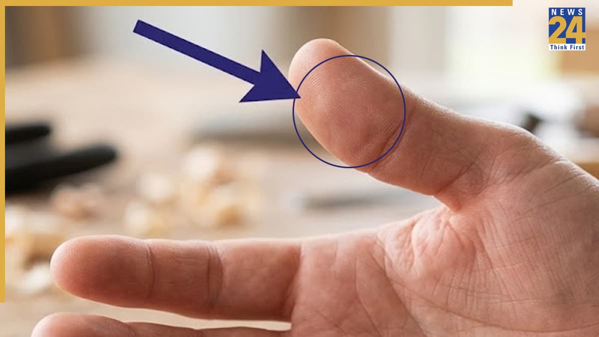 Lines On Thumb: अंगूठे पर गोल-गोल रेखाओं का होना कैसा होता है? हस्तरेखा शास्त्र से जानें शुभ-अशुभ संकेत