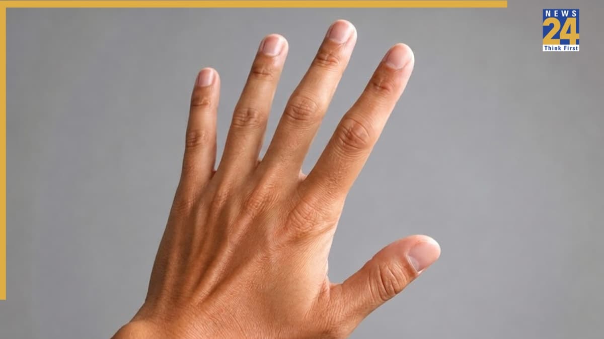 Finger Length: हाथ की किस उंगली का लंबा-छोटा होना शुभ? सामुद्रिक शास्त्र से खुलेंगे स्वभाव-भाग्य के रहस्य