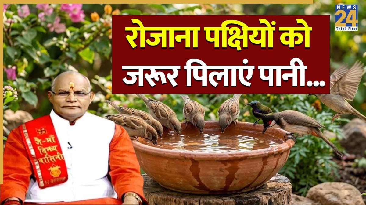 Kaalchakra: पक्षियों को पानी पिलाने से दूर होगा हर संकट-दोष! पंडित सुरेश पांडेय से जानें उपाय और लाभ