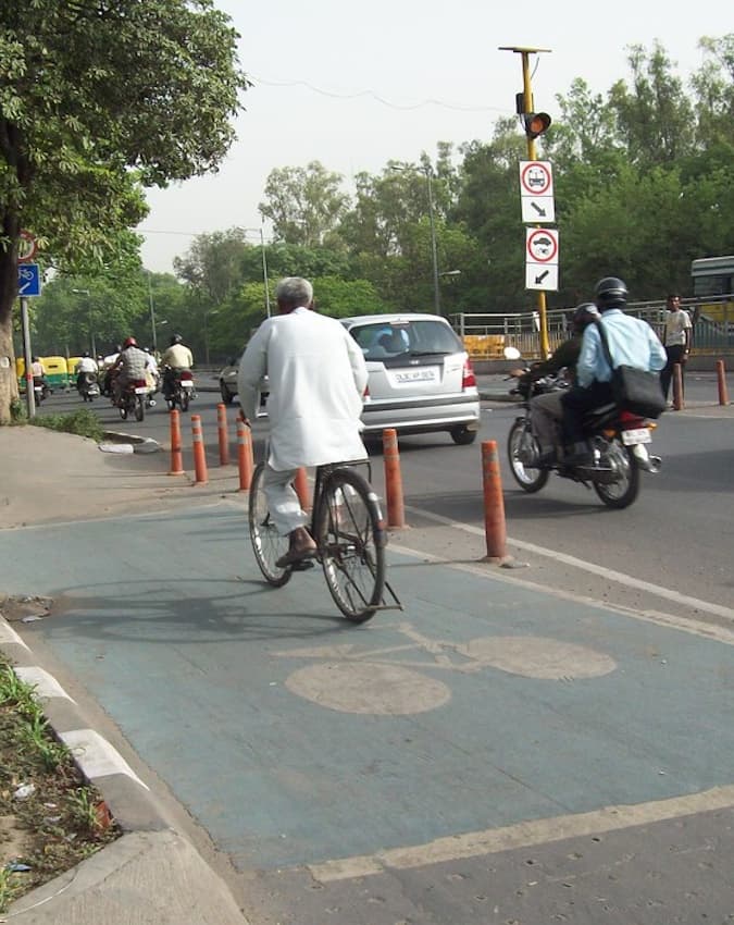 पर्यावरण संरक्षण में भी देती है योगदान 