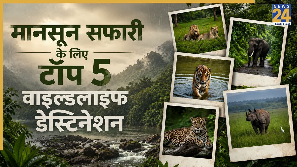 Monsoon Safari in India: मानसून सफारी के लिए भारत की टॉप 5 जगहें, बारिश में और भी खूबसूरत हो जाते हैं ये वाइल्डलाइफ डेस्टिनेशन