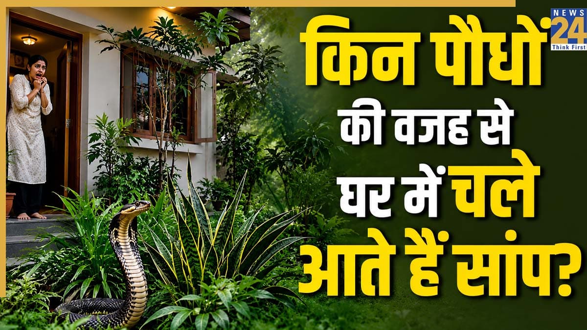 सावधान! आपके खूबसूरत गार्डन में छिपा हो सकता है काल, जानें किन पौधों की वजह से घर में खिंचे चले आते हैं सांप