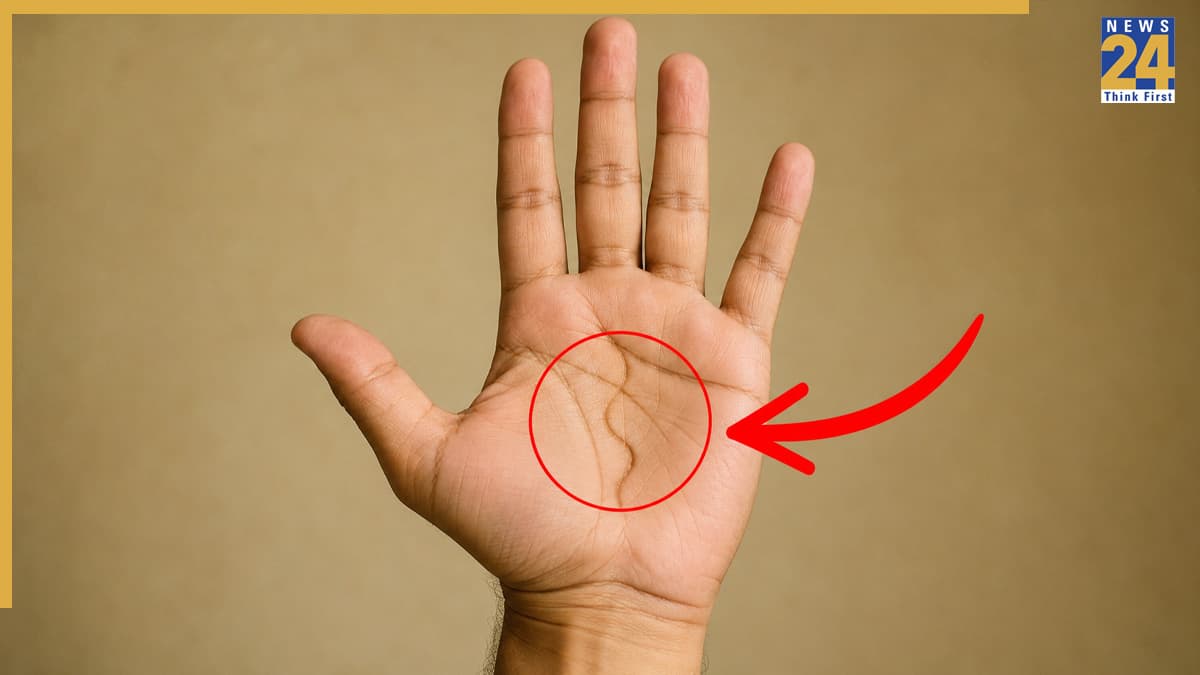 Snake Line on Hand: हथेली पर 'सांप की रेखा' होना वरदान है या अभिशाप? जानें क्या कहता है हस्तरेखा शास्त्र