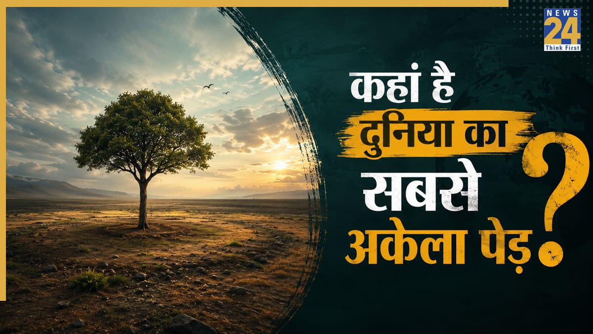 धरती से खत्म होने वाला था दुनिया का सबसे दुर्लभ पेड़, जानिए कैसे बचाने के लिए वैज्ञानिकों ने लगा दी जान