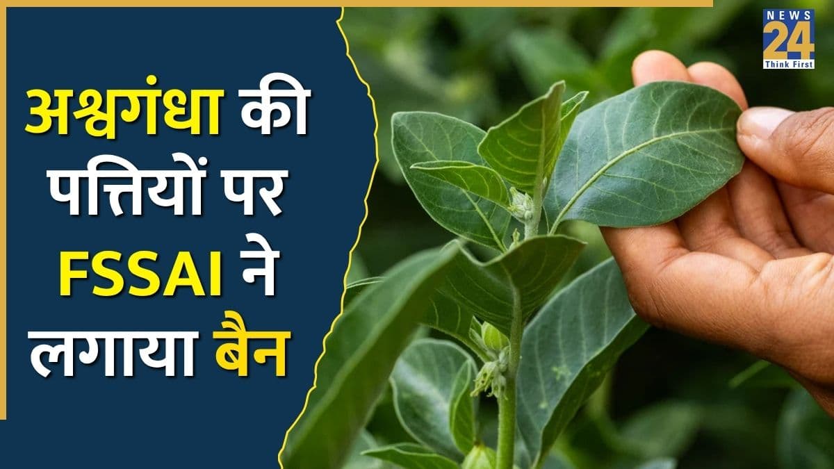 अश्वगंधा के पत्तों पर FSSAI ने लगाया बैन, दवा या खानपान में सिर्फ एक हिस्से का हो सकेगा इस्तेमाल