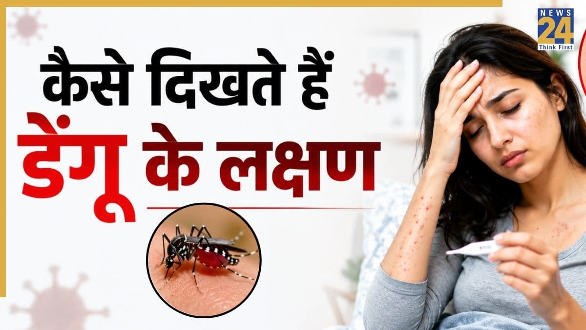मानसून से पहले दिल्ली में डेंगू के 162 मामले! बचने के लिए आज ही करें ये 3 काम, ऐसे पहचानें Dengue के लक्षण