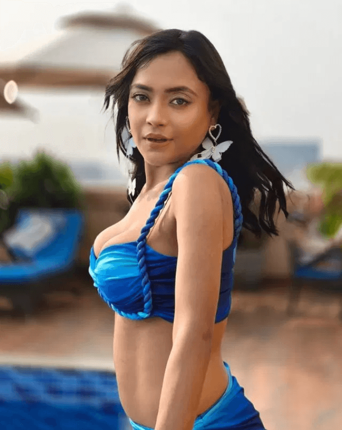 नेहल वडोलिया ने डायरेक्टर को लेकर क्या कहा?