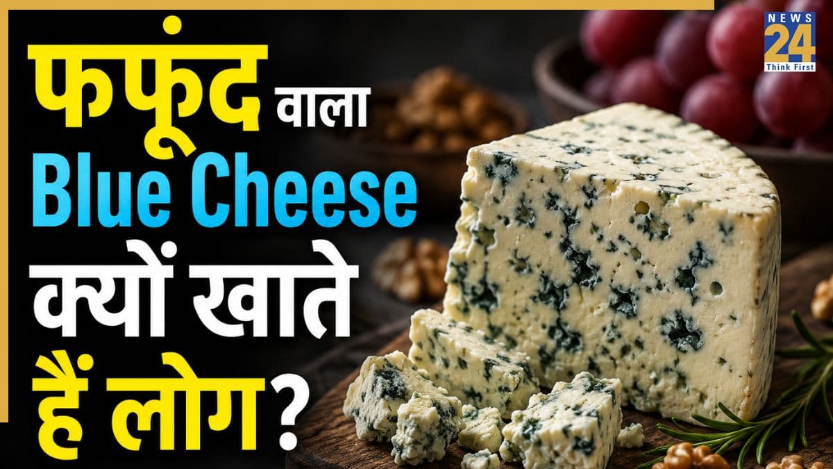 फंगस लगे होने के बाद भी लोग क्यों खाते हैं Blue Cheese, जानकर आप भी चौंक जाएंगे