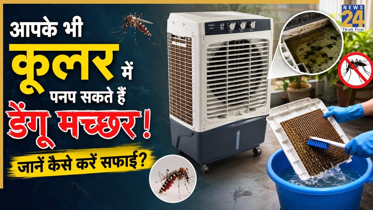 कूलर के पानी में पनप रहे हैं डेंगू के मच्छर? मिनटों में ऐसे करें अच्छे से सफाई