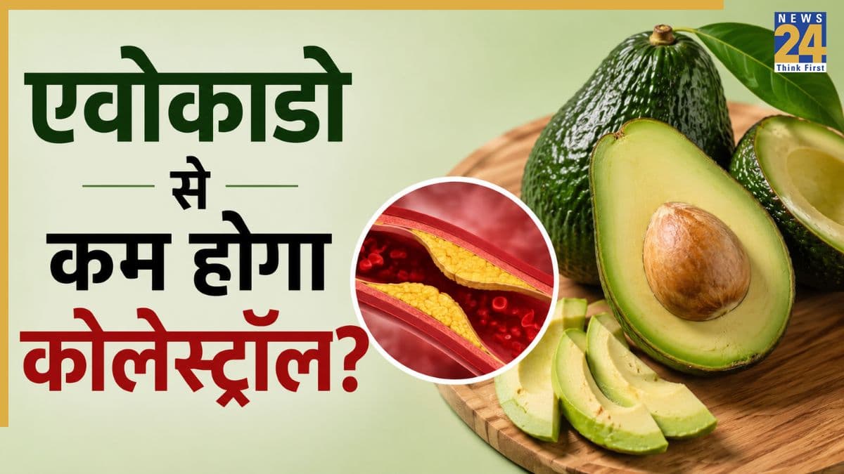 क्या एवोकाडो खाने से कम हो सकता है गंदा कोलेस्ट्रॉल? जानिए क्या कहती है स्टडी