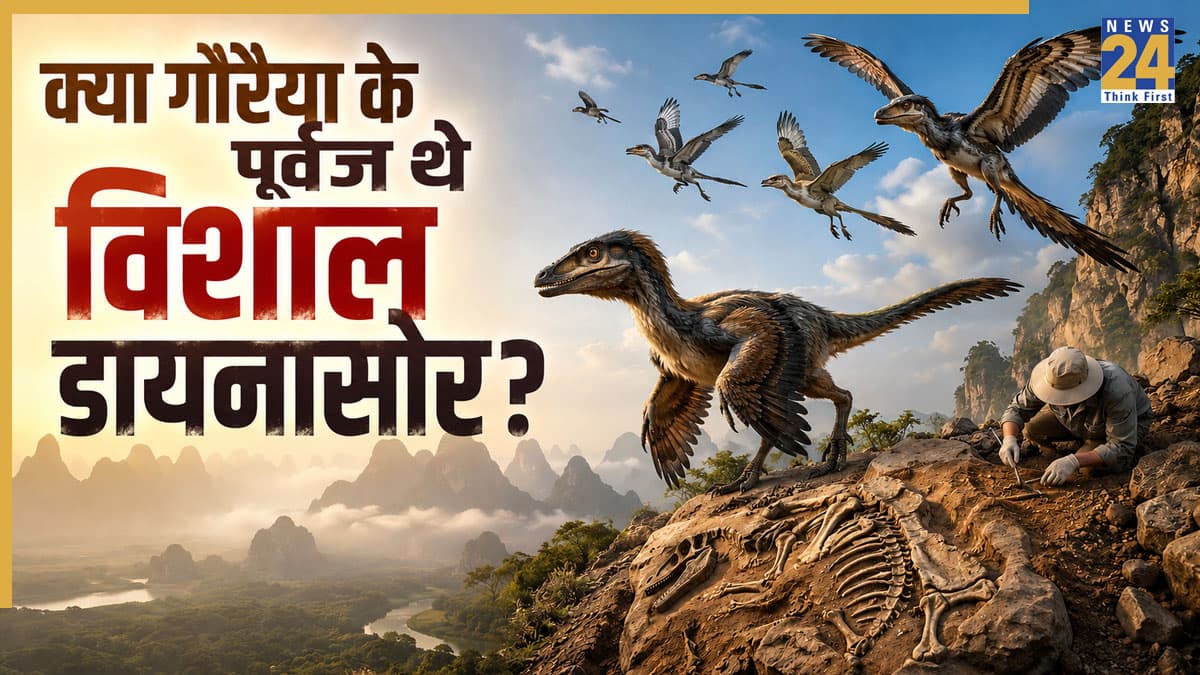 डायनासोर कैसे बने आसमान के पंछी? चीन की धरती से निकला 15 करोड़ साल पुराना राज, वैज्ञानिकों के उड़े होश!