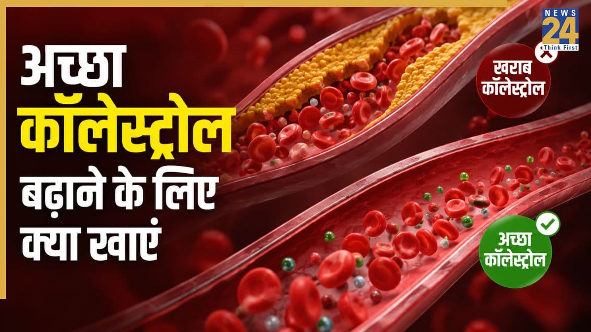 अच्छा कोलेस्ट्रॉल बढ़ाने के लिए क्या खाना चाहिए? डॉक्टर ने बताया खुद ही घटने लगेगा LDL