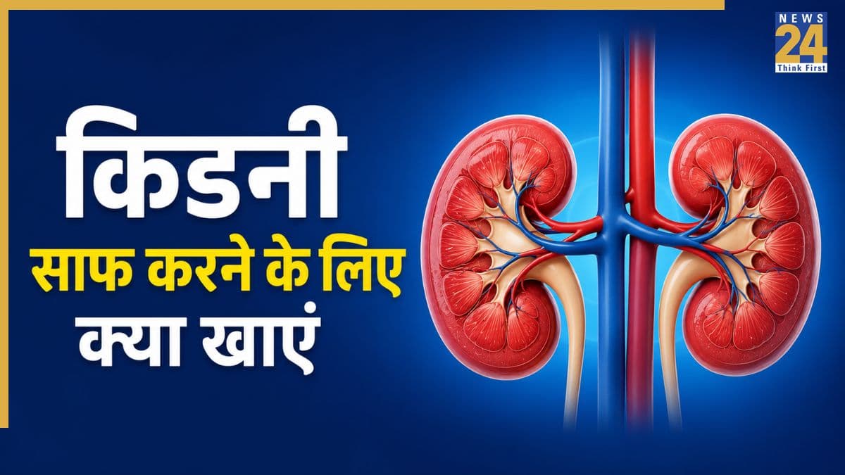 किडनी की गंदगी कैसे साफ करें? जानिए क्या खाने पर फिल्टर होगी Kidneys, सेहत को मिलेगा फायदा