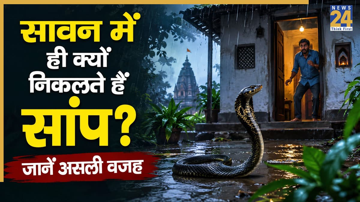 सावन में ही क्यों ज्यादा दिखाई देते हैं सांप? नाग पंचमी से कनेक्शन या प्रकृति का नियम; जानें पूरी सच्चाई
