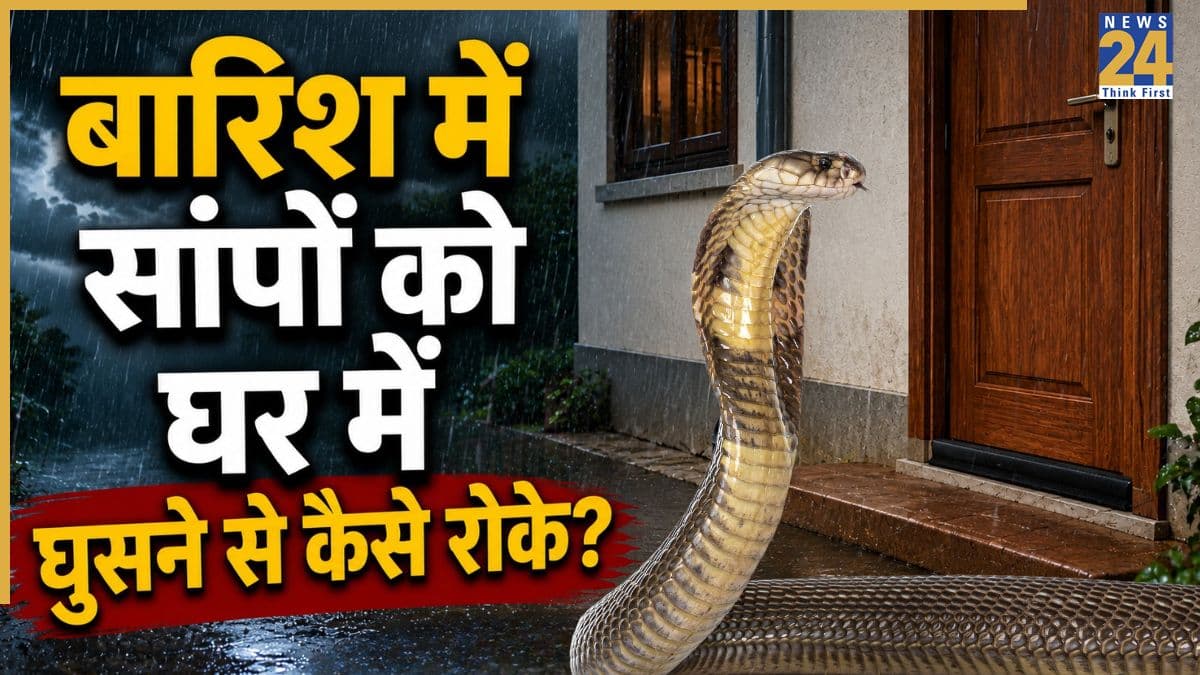 बारिश में घर में घुस सकते हैं जहरीले सांप! परिवार को सुरक्षित रखने के लिए अभी करें ये जरूरी काम