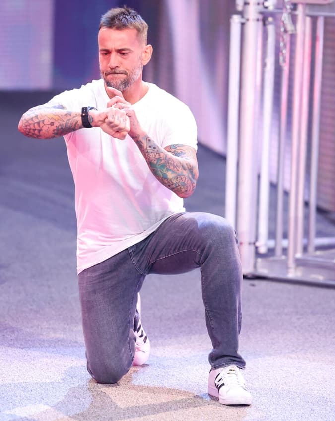SmackDown में जा सकते हैं सीएम पंक