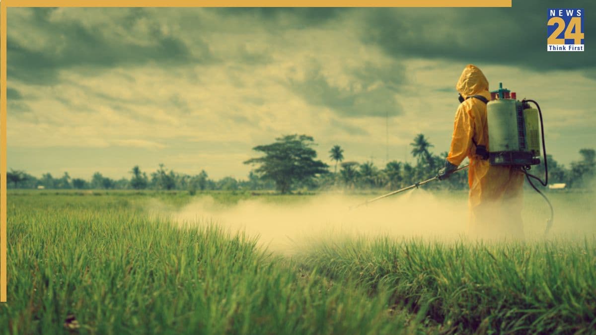 Paraquat Dichloride Ban: मोदी सरकार का बड़ा फैसला, खेतों में जहर घोलने वाले इस खतरनाक केमिकल पर लगा प्रतिबंध, जानें वजह