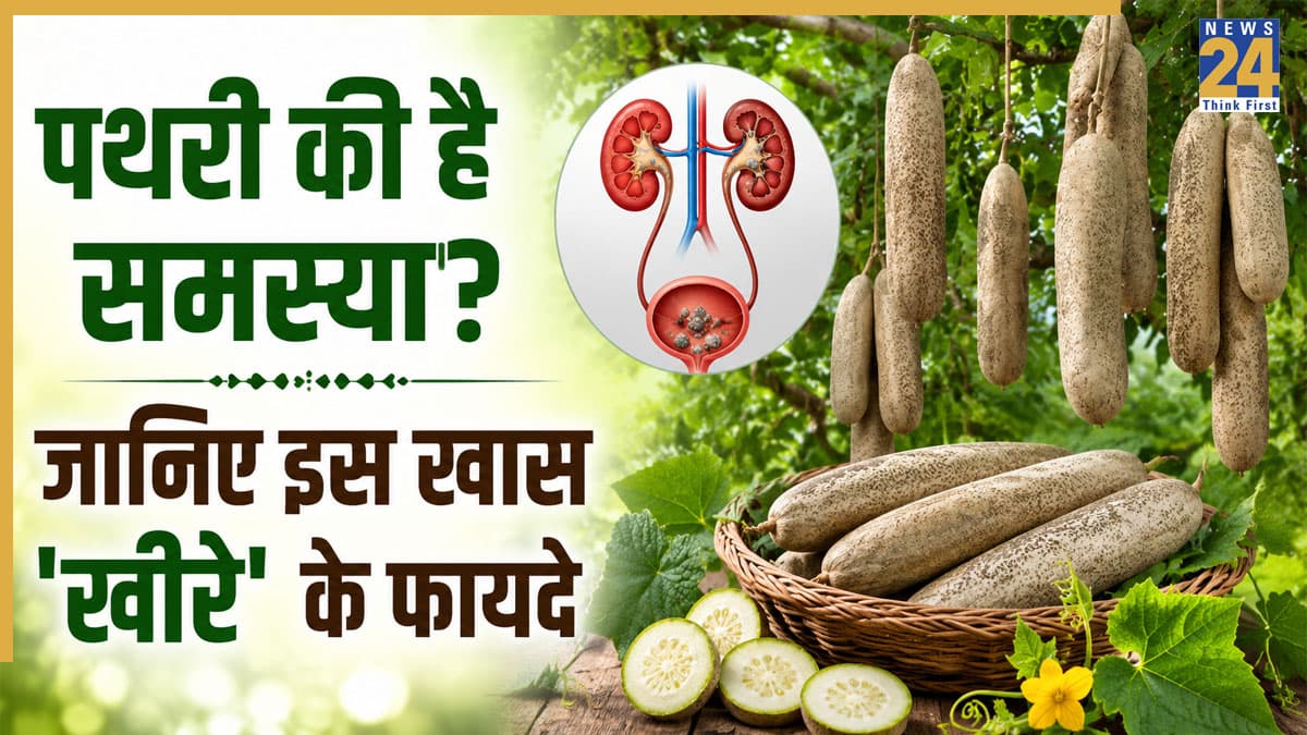 पथरी से राहत के लिए किसी वरदान से कम नहीं ये खास 'खीरा'? जानिए इसके फायदे और खाने का तरीका