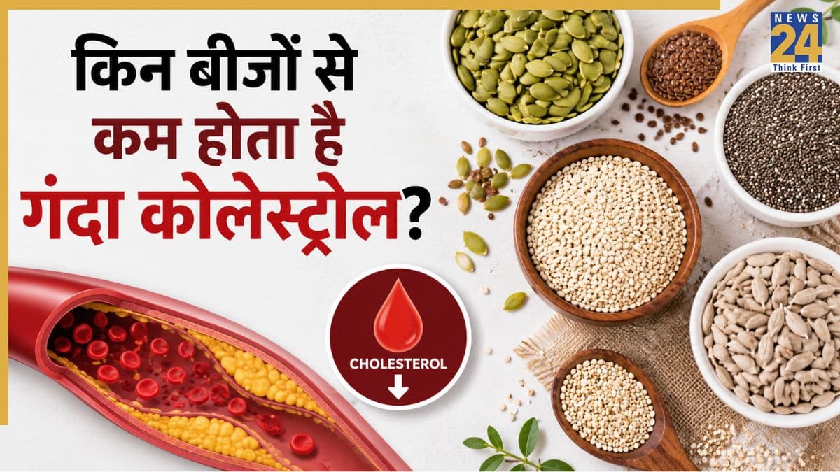 गंदे कॉलेस्ट्रोल को कम कर सकते हैं ये 7 बीज, जमा हुआ प्लाक होने लगेगा साफ
