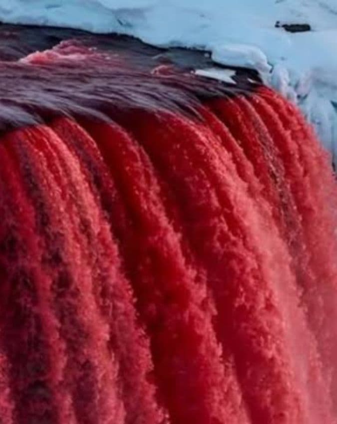 100 साल पुराना रहस्य कैसे सुलझा?