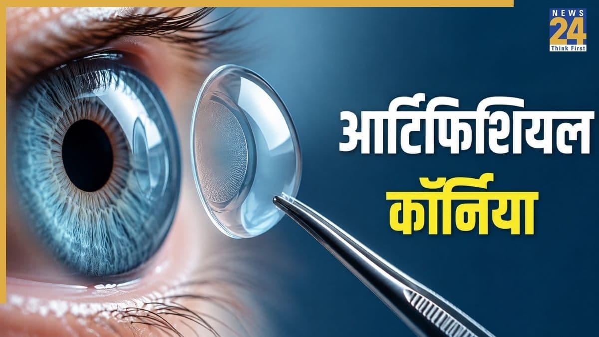 Artificial Cornea
