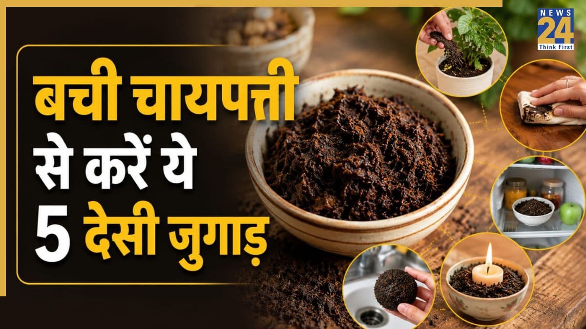 बची हुई चायपत्ती कचरा नहीं है बल्कि खजाना है, इन 5 कामों में करें इस्तेमाल