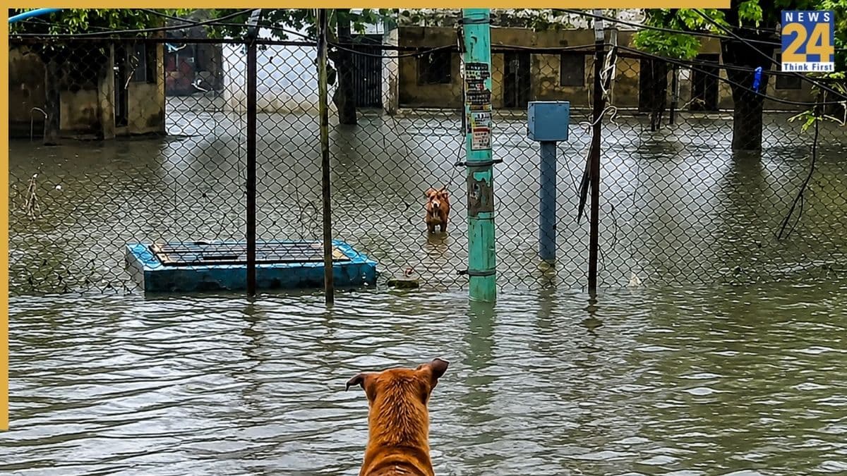 भारत में मानसून का कहर…कश्मीर से केरल और गुजरात से असम तक बारिश ने बिगाड़े हालात