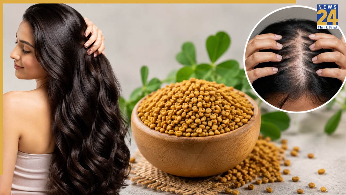 Hair Fall Tips: बालों के लिए फायदेमंद साबित हो सकता है घर में रखा मेथी दाना, हेयर फॉल से मिलेगा छुटकारा