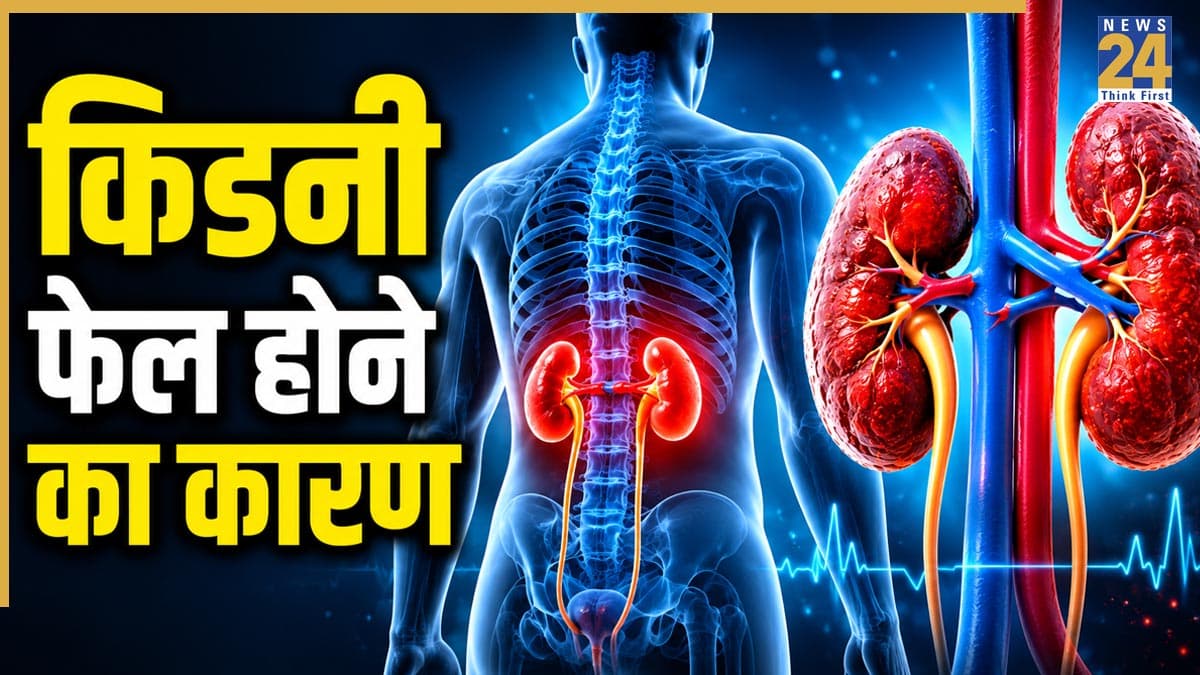 क्यों होती है किडनी फेल? डॉक्टर ने बताए मुख्य कारण, जानिए कब पड़ती है ट्रांसप्लांट की जरूरत