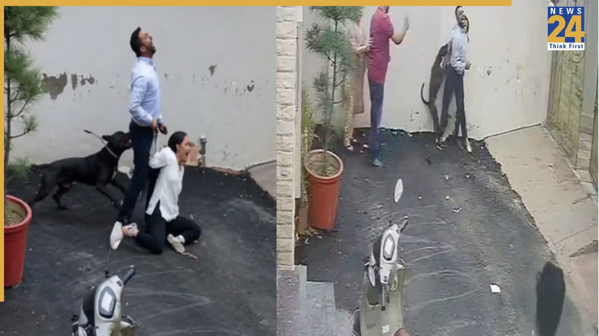 पालतू पिटबुल भी खतरनाक, पटियाला में किराए के लिए घर देखने गए दंपत्ति पर किया हमला
