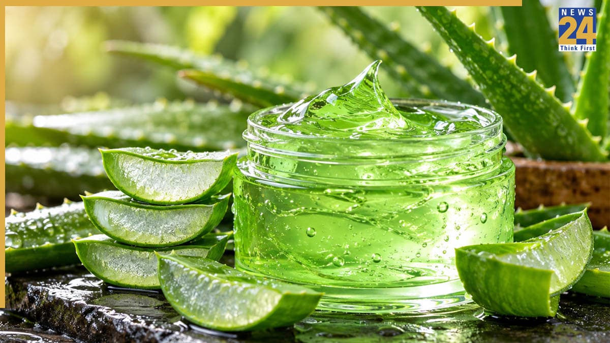 अब बाजार का केमिकल वाला Aloe Vera Gel भूल जाइए! घर पर ही आसानी से मिनटों में तैयार होगा फ्रेश जेल