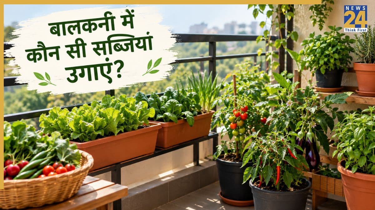 सर्दी आने से पहले ये 5 सब्जियां अपनी बालकनी में उगा सकते हैं आप, बाजार से खरीदने की नहीं पड़ेगी जरूरत