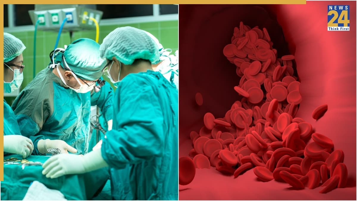 कोलेस्ट्रॉल को करना है कंट्रोल? स्वामी रामदेव ने बताए आसान और असरदार उपाय, जानें कैसे रखें खुद को हेल्दी