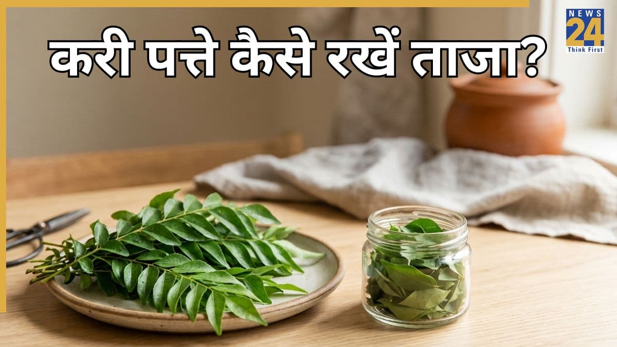 बाजार से खरीदे करी पत्ते को हफ्तों तक रखना है ताजा तो ऐसे करें स्टोर, जल्दी नहीं सूखेंगे Curry Leaves