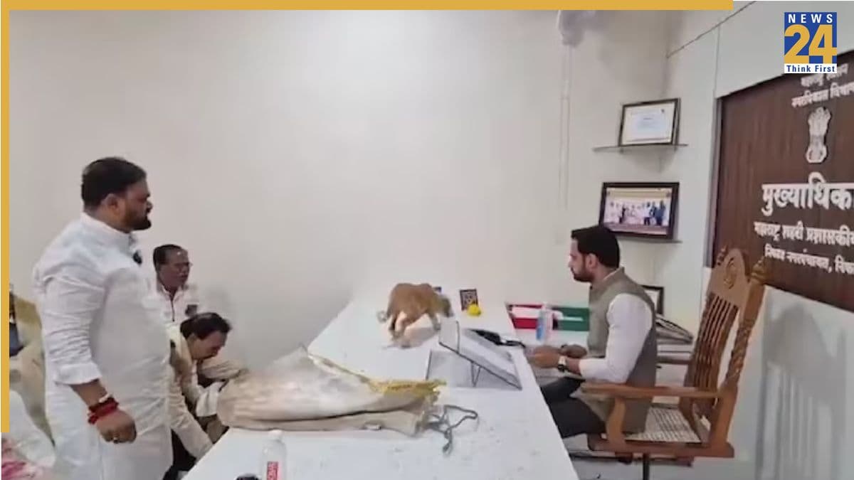 बोरों में भरकर लाए आवारा कुत्ते, अफसर की मेज पर छोड़े… नासिक में अनोखा प्रदर्शन; VIDEO वायरल