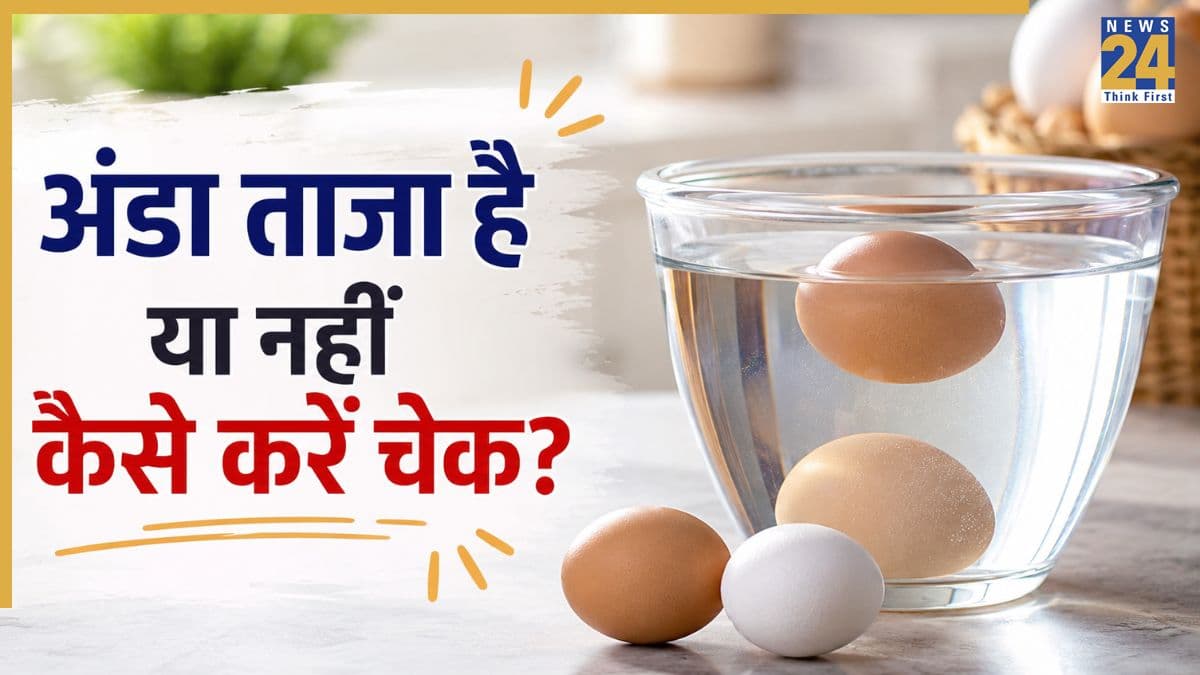 कैसे पता चलेगा अंडा ताजा है या नहीं? FSSAI ने सुझाया आसान तरीका, एक गिलास पानी से करें टेस्ट