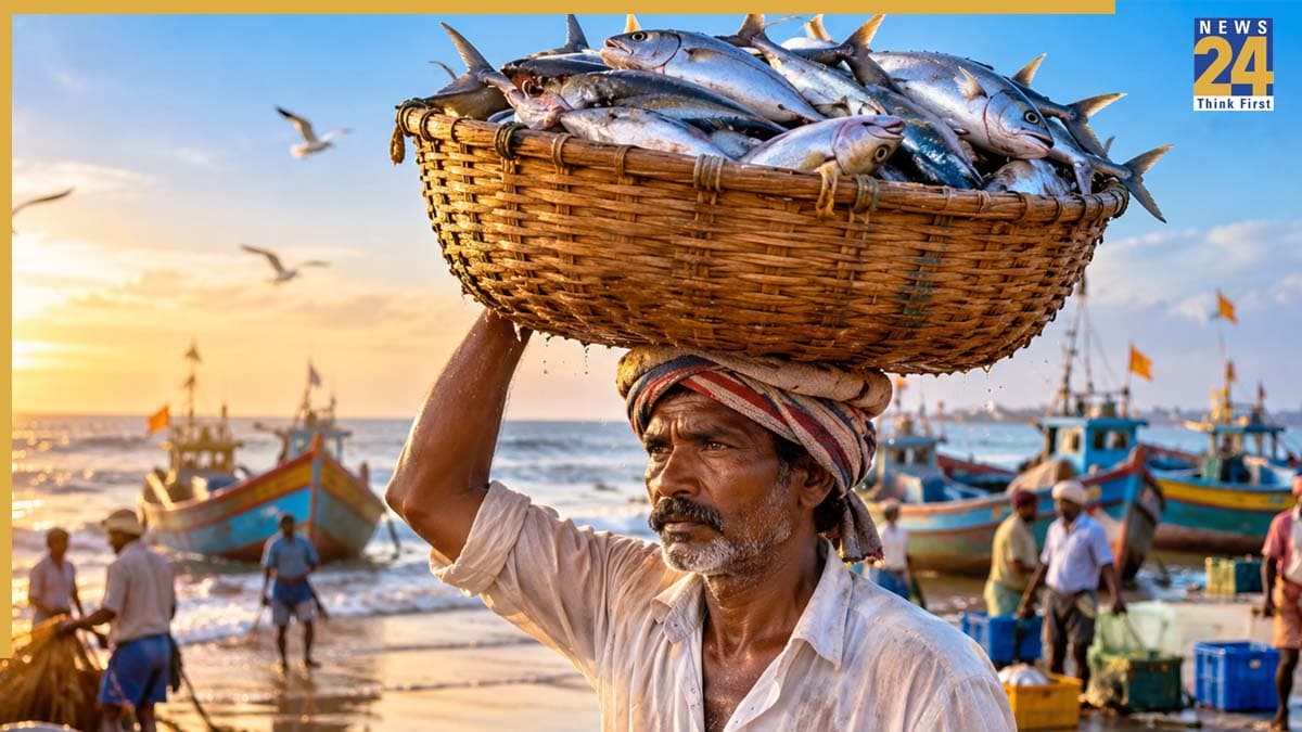 बांग्लादेश का यूटर्न! अब नहीं खरीदेगा गुजरात की हिलसा मछली, पद्मा बताकर बेच रहे थे