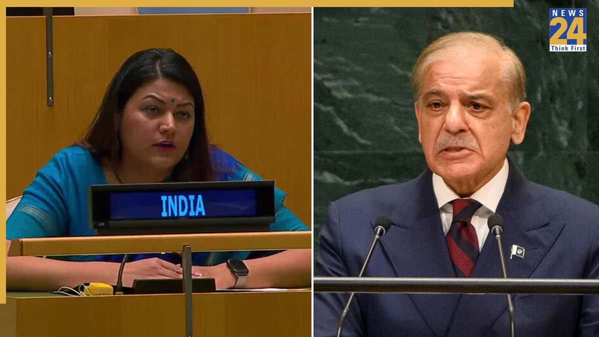 क्या है 'फॉर्म 47'? UN में जिसका जिक्र करके भारत ने उड़ाई पाकिस्तान की धज्जियां