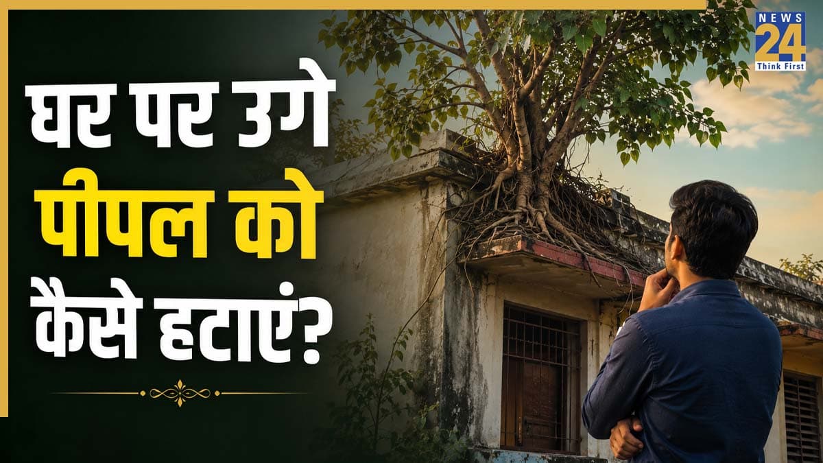 Peepal Tree Removal: घर की दीवार-छत पर पीपल उगना किस दोष का संकेत, जानें हटाने का सही तरीका