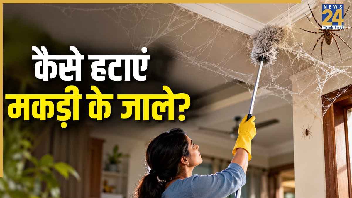 दीवारों पर लगे मकड़ी के जाले हटाने के लिए आजमा लें ये 5 हैक्स, चमक जाएगा घर