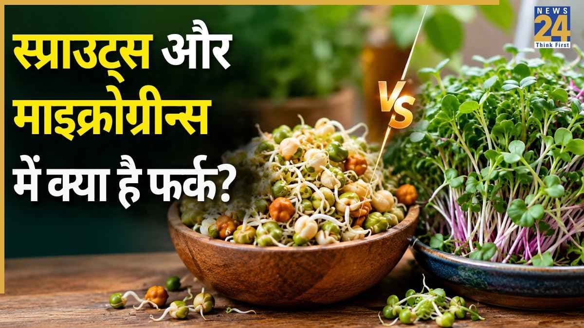 Sprouts vs Microgreens: स्प्राउट्स और माइक्रोग्रीन्स में क्या है अंतर? यहां जानिए कितने दिन में हो सकते हैं तैयार