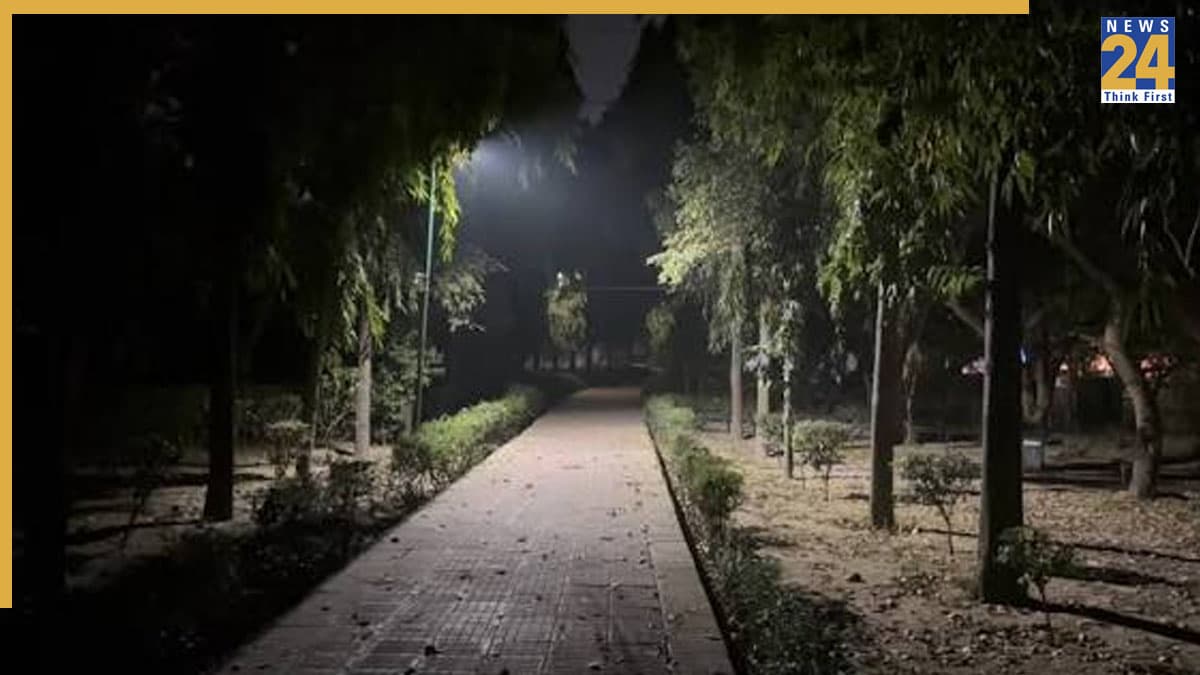 दिल्ली के 190 पार्क 'हाई रिस्क' घोषित, सिर्फ 16 में CCTV कैमरे; सुरक्षा ऑडिट में बड़ा खुलासा