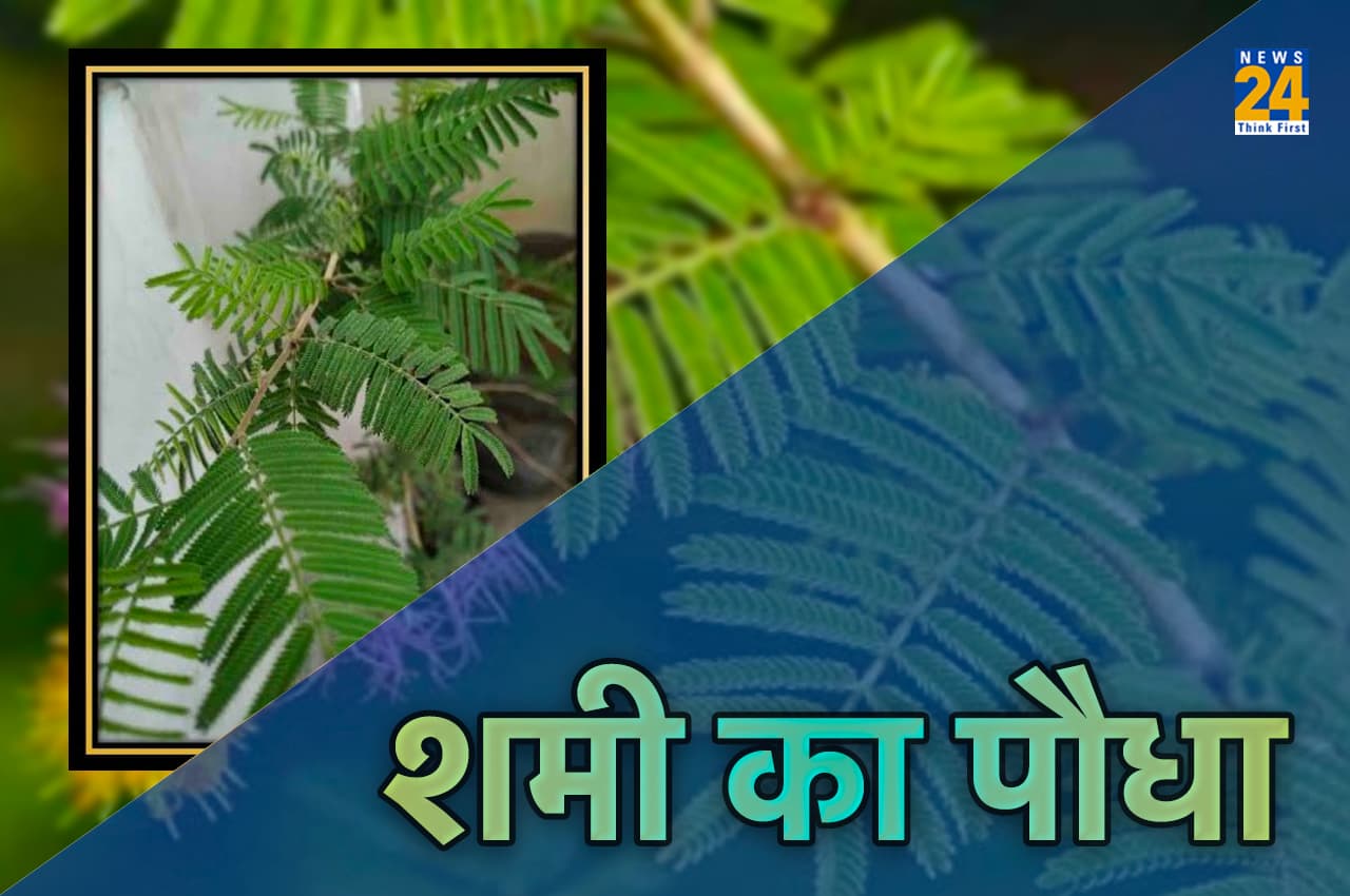 Shami Pujan