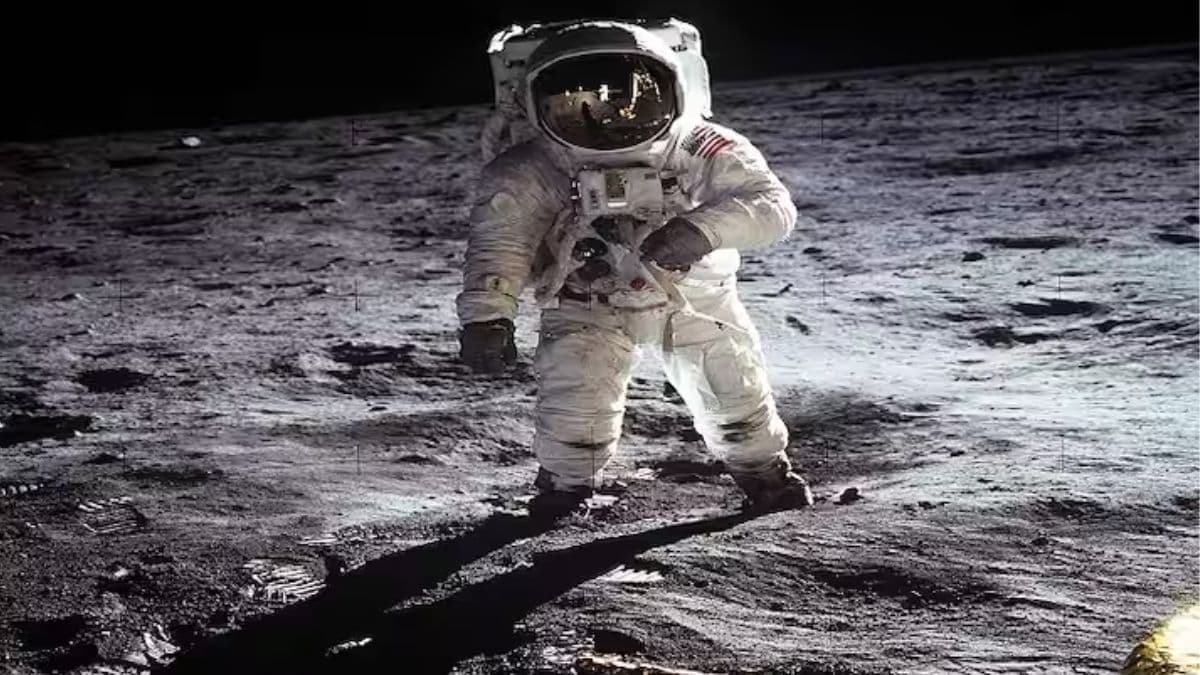 moon News moon News
