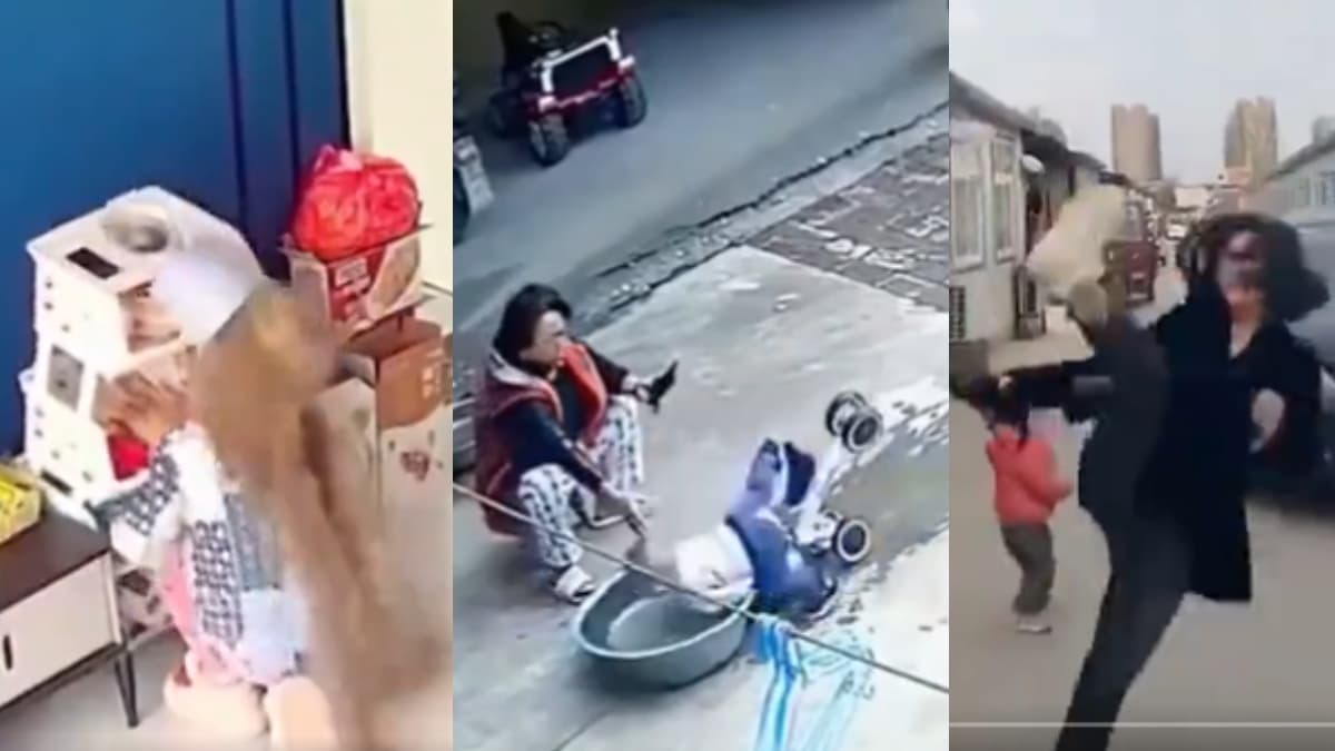 Video Viral: सब 'चाइना का माल' है! इन Videos को देख रोके नहीं रुकेंगी हंसी, हंसते-हंसते हो जाएंगे लोट-पोट