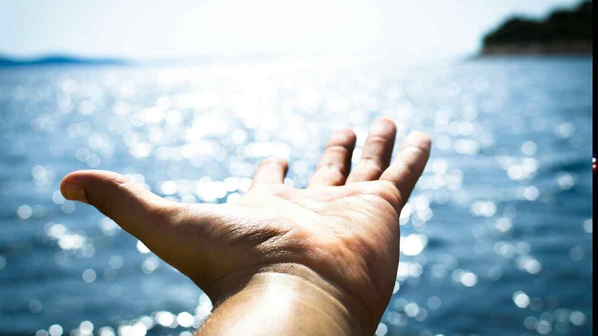 Know from your palm Know from your palm